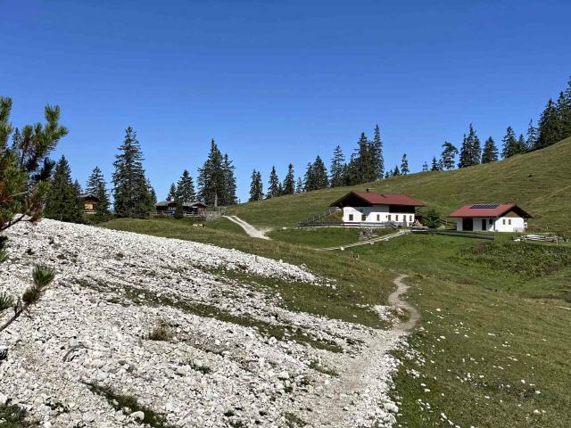 Fischbachalm - 1400 m