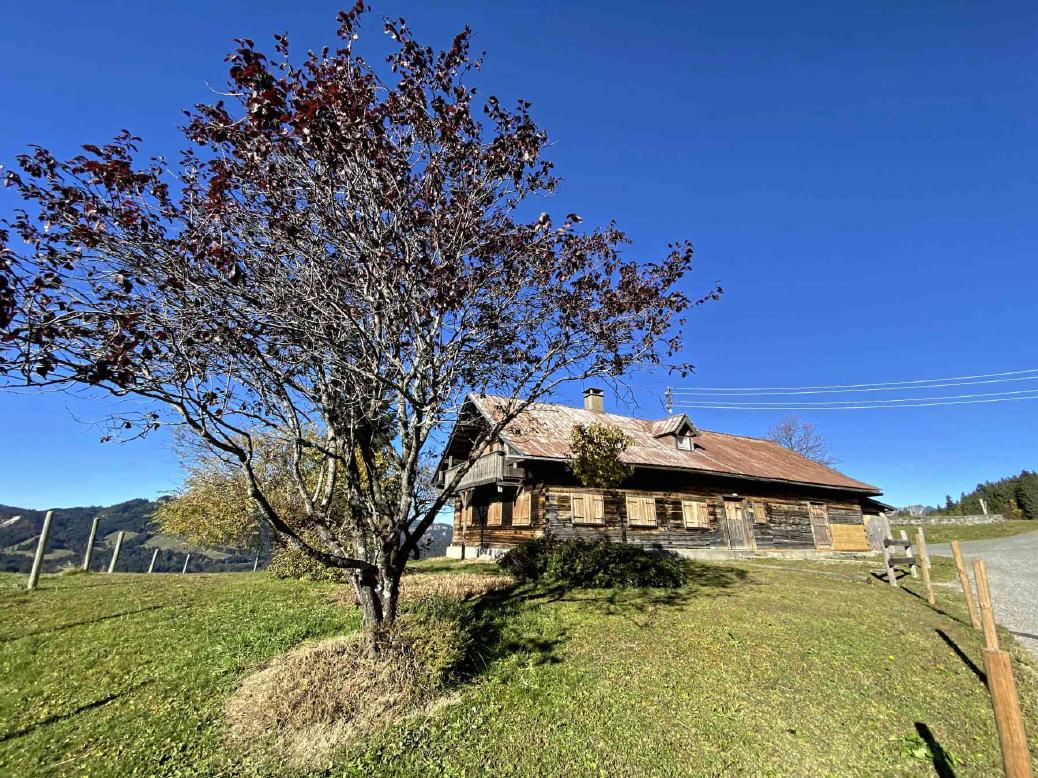 Kleinwalsertal Mittelalp