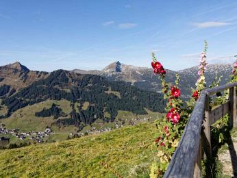 Kanzelwand - Kuhgehrenspitze - Mittelberg