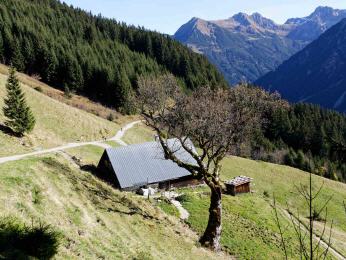 Walmendingerhorn - Hirschegg